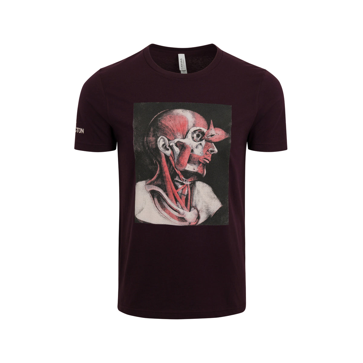 MUSCLES COLOR STUDY T-SHIRT