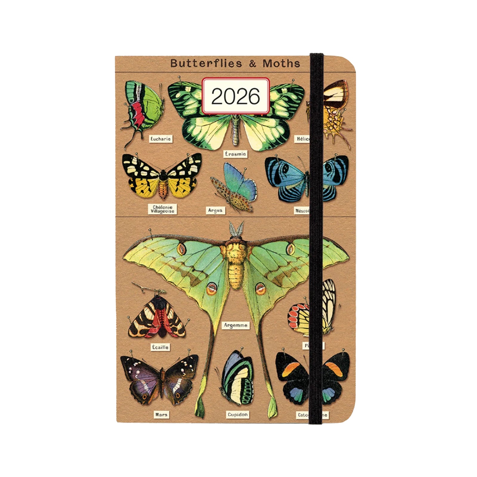 Notebook with butterfly illustrations and '2026' on a beige background