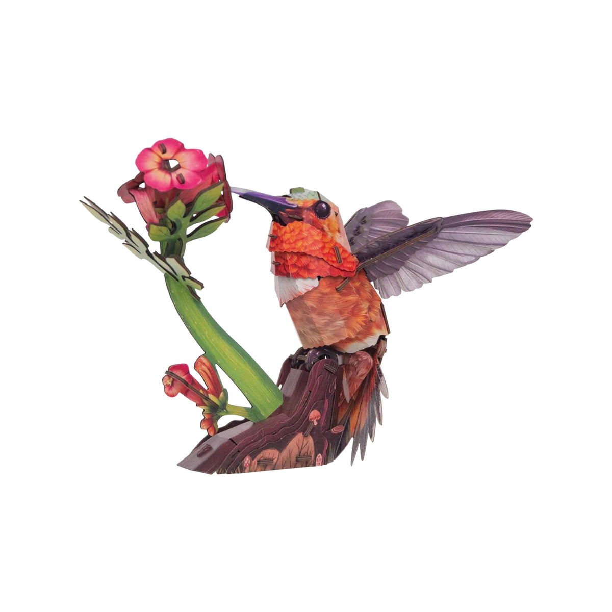 Colorful hummingbird 3-D model on a branch with flowers against a white background
