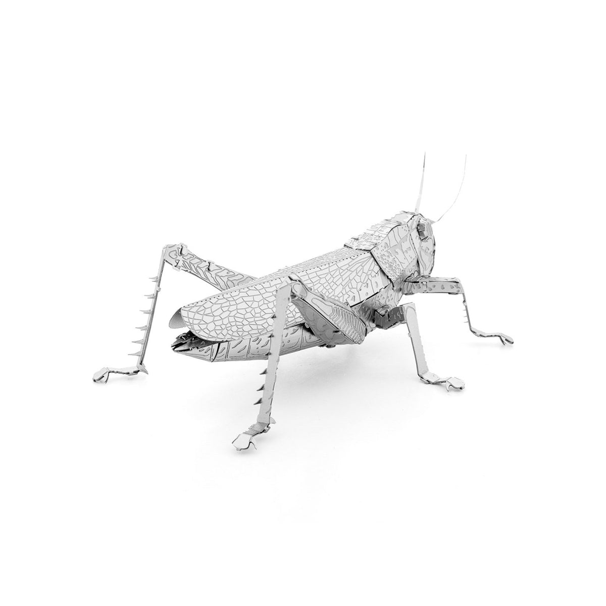 3D MODEL METAL GRASSHOPPER