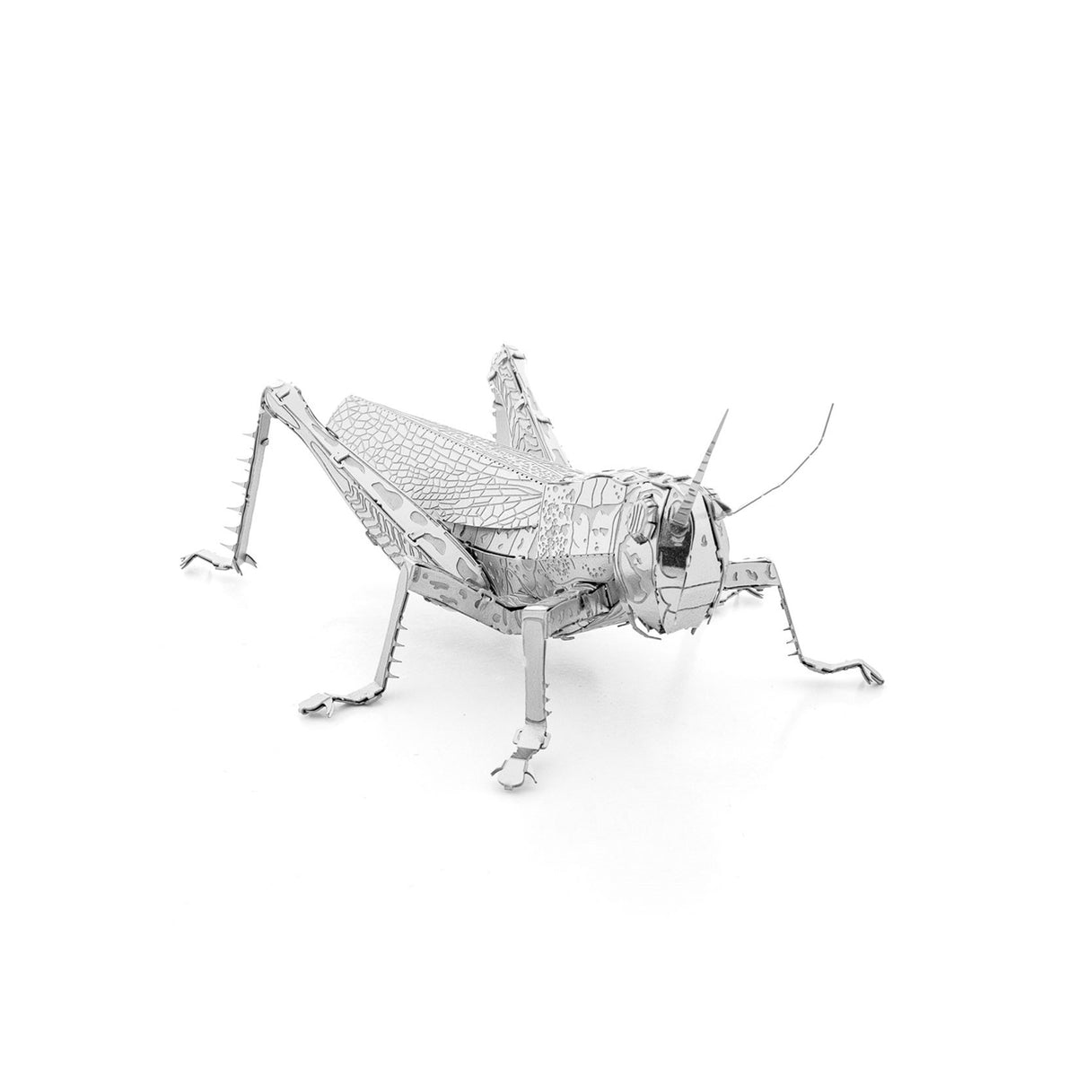 3D MODEL METAL GRASSHOPPER