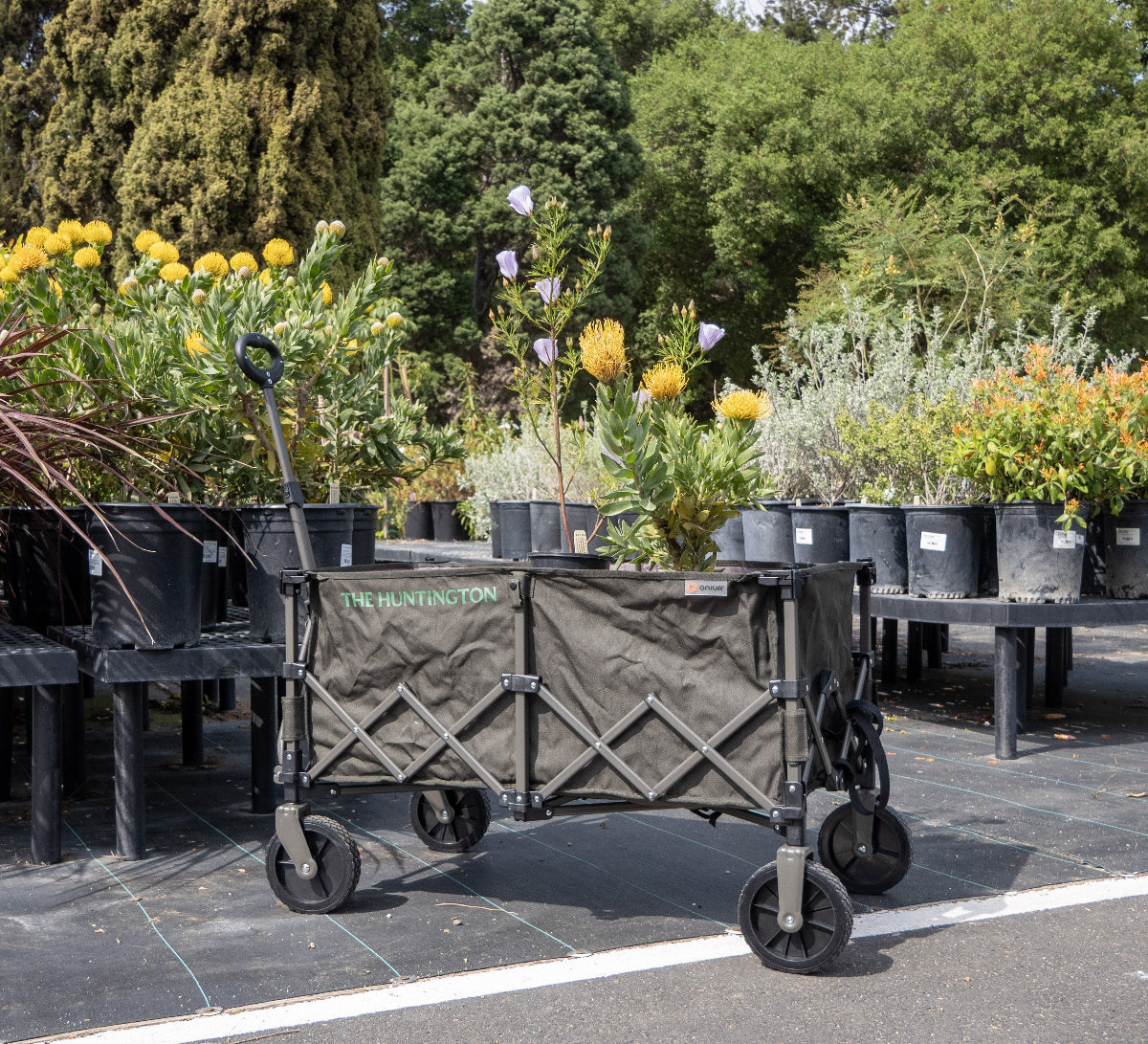 HUNTINGTON FOLDABLE CART