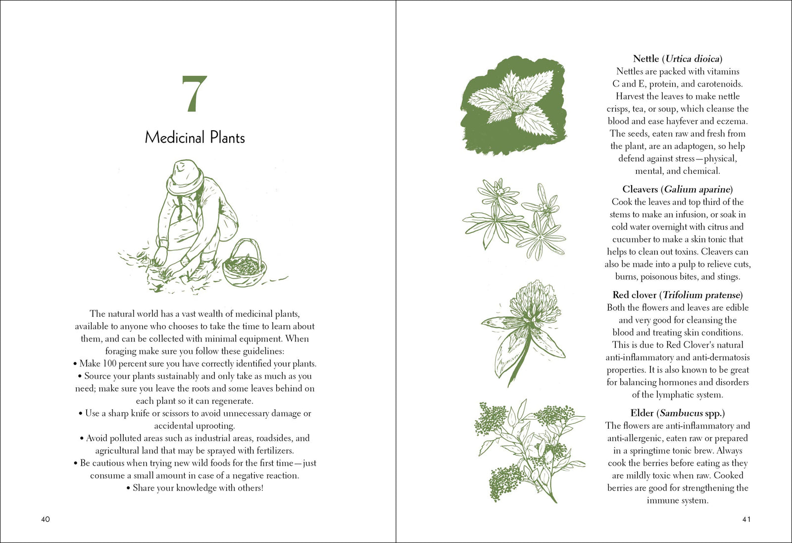 This guide to all things to do in the outdoors will delight hikers and campers of all ages. Readers learn traditional bushcraft skills, like making a bow and arrow and building a Swedish fire log, along with fun projects including making candles, creating a mudslide, and taking a night walk in the woods. Hardcover.