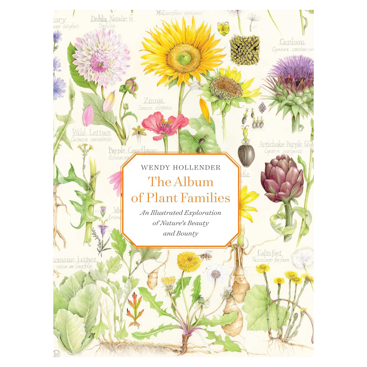THE ALBUM OF PLANT FAMILIES: AN ILLUSTRATED EXPLORATION OF NATURE'S BEAUTY AND BOUNTY