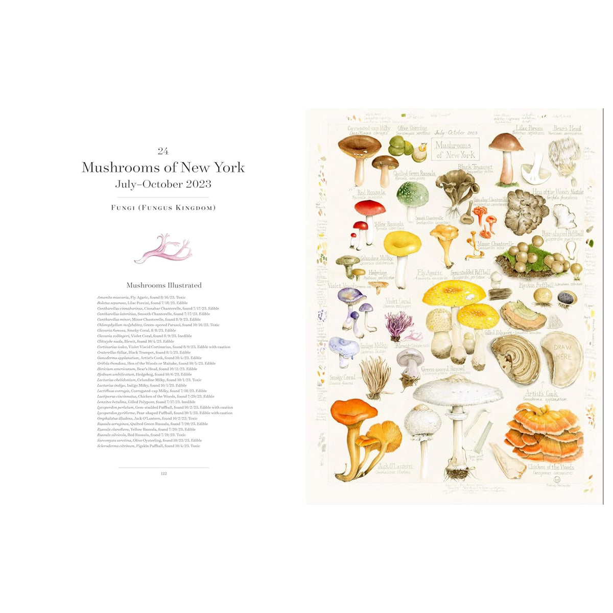 THE ALBUM OF PLANT FAMILIES: AN ILLUSTRATED EXPLORATION OF NATURE'S BEAUTY AND BOUNTY