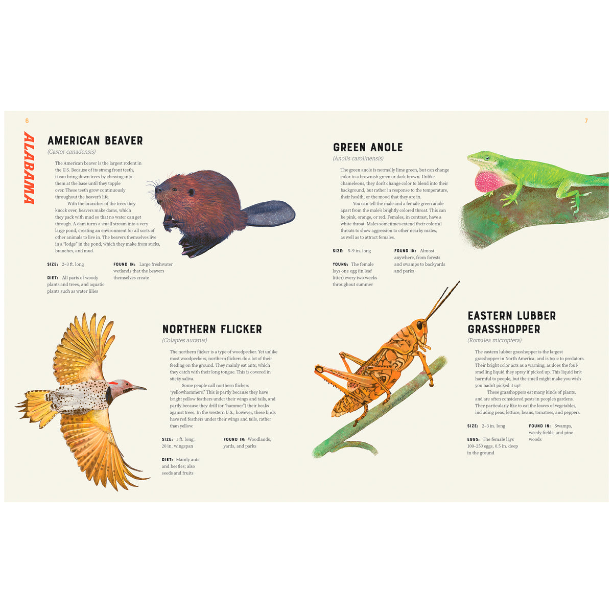 AMERICA IS WILD! A STATE-BY-STATE ENCYCLOPEDIA OF AMERICAN WILDLIFE