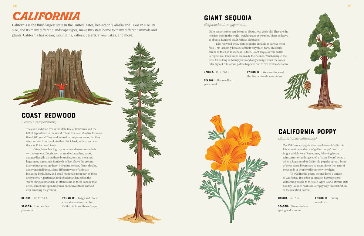 AMERICA IS WILD! A STATE-BY-STATE ENCYCLOPEDIA OF AMERICAN WILDLIFE