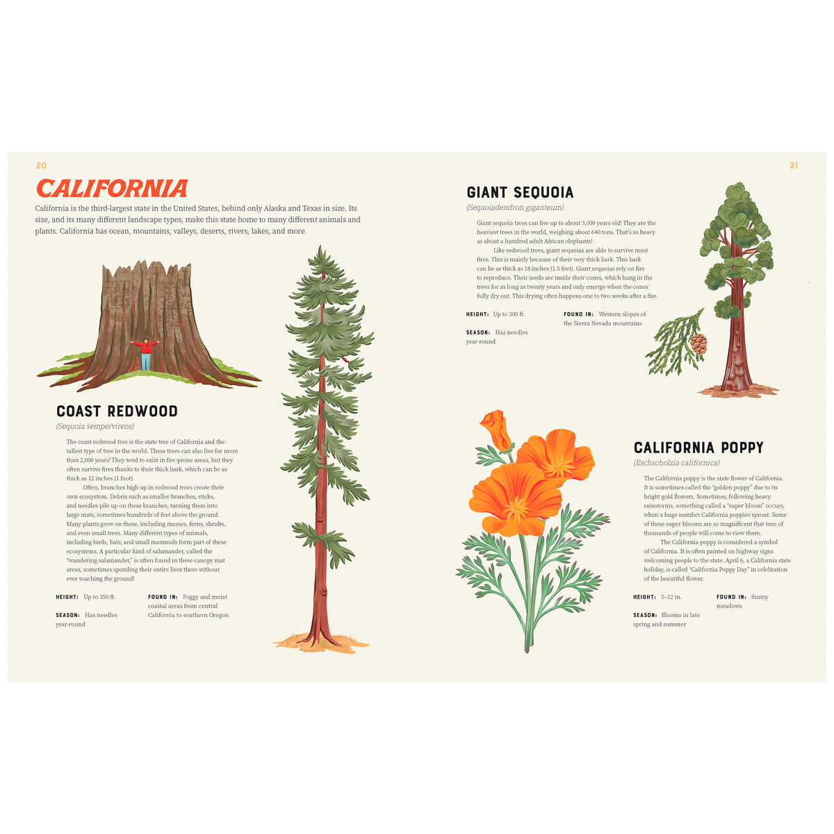 AMERICA IS WILD! A STATE-BY-STATE ENCYCLOPEDIA OF AMERICAN WILDLIFE