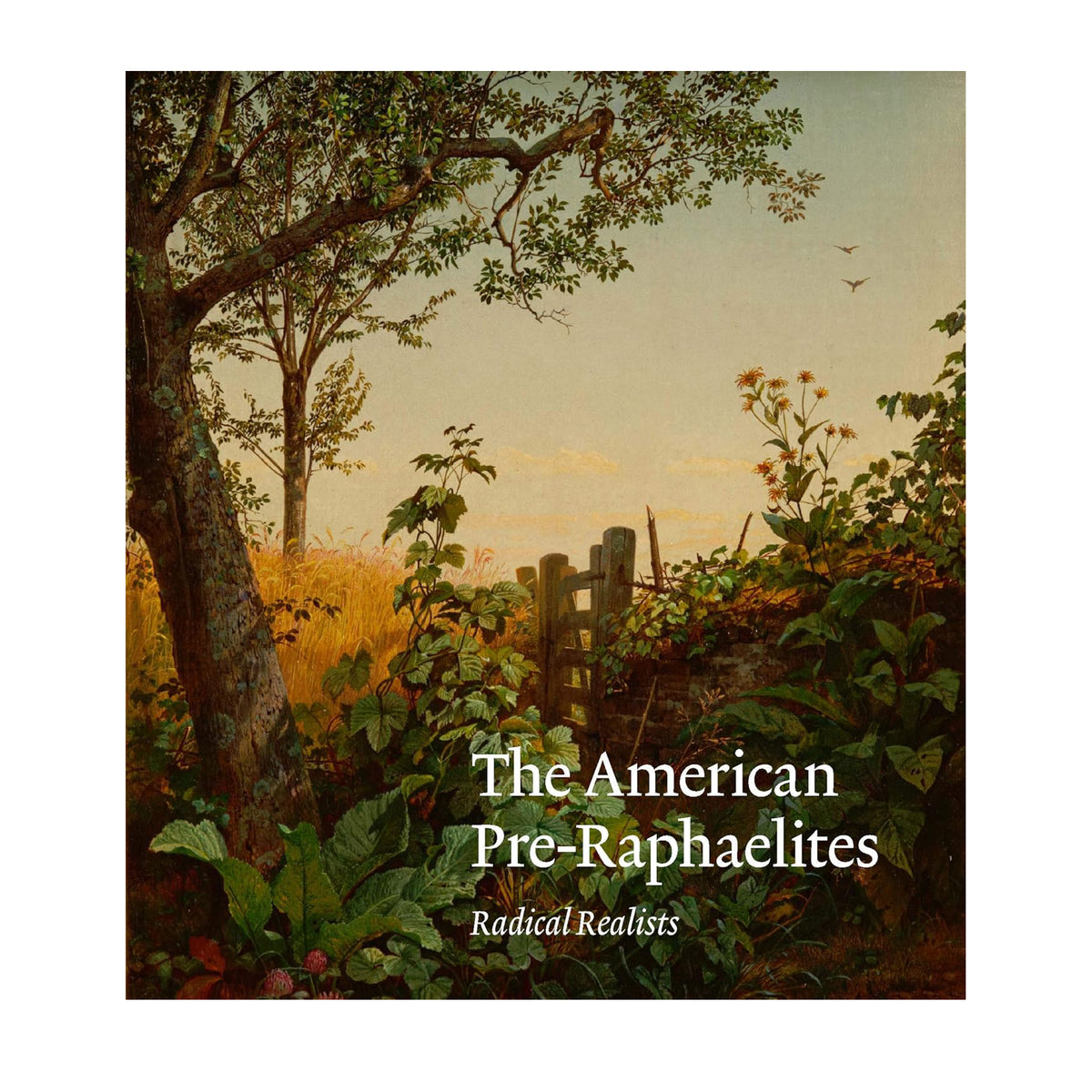 Book cover with a nature scene and text &#39;The American Pre-Raphaelites Radical Realists&#39;.