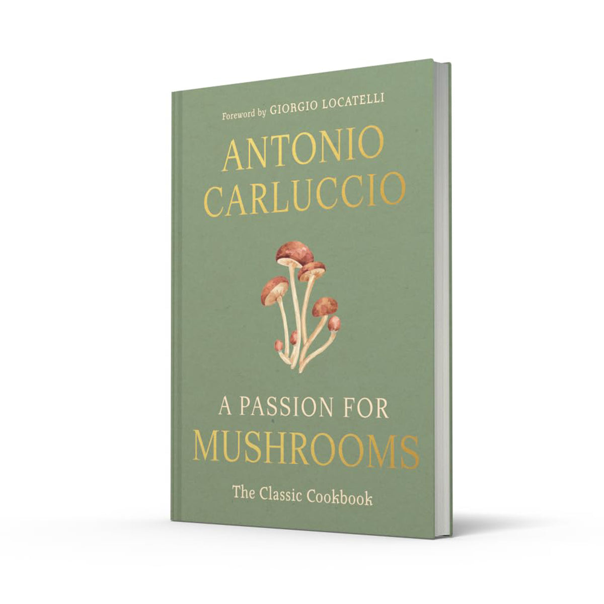 A PASSION FOR MUSHROOMS