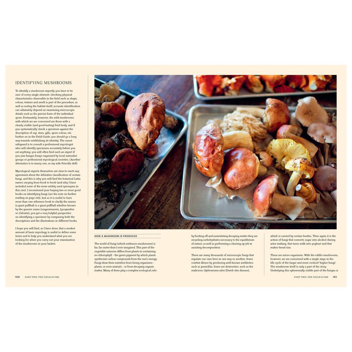 A PASSION FOR MUSHROOMS