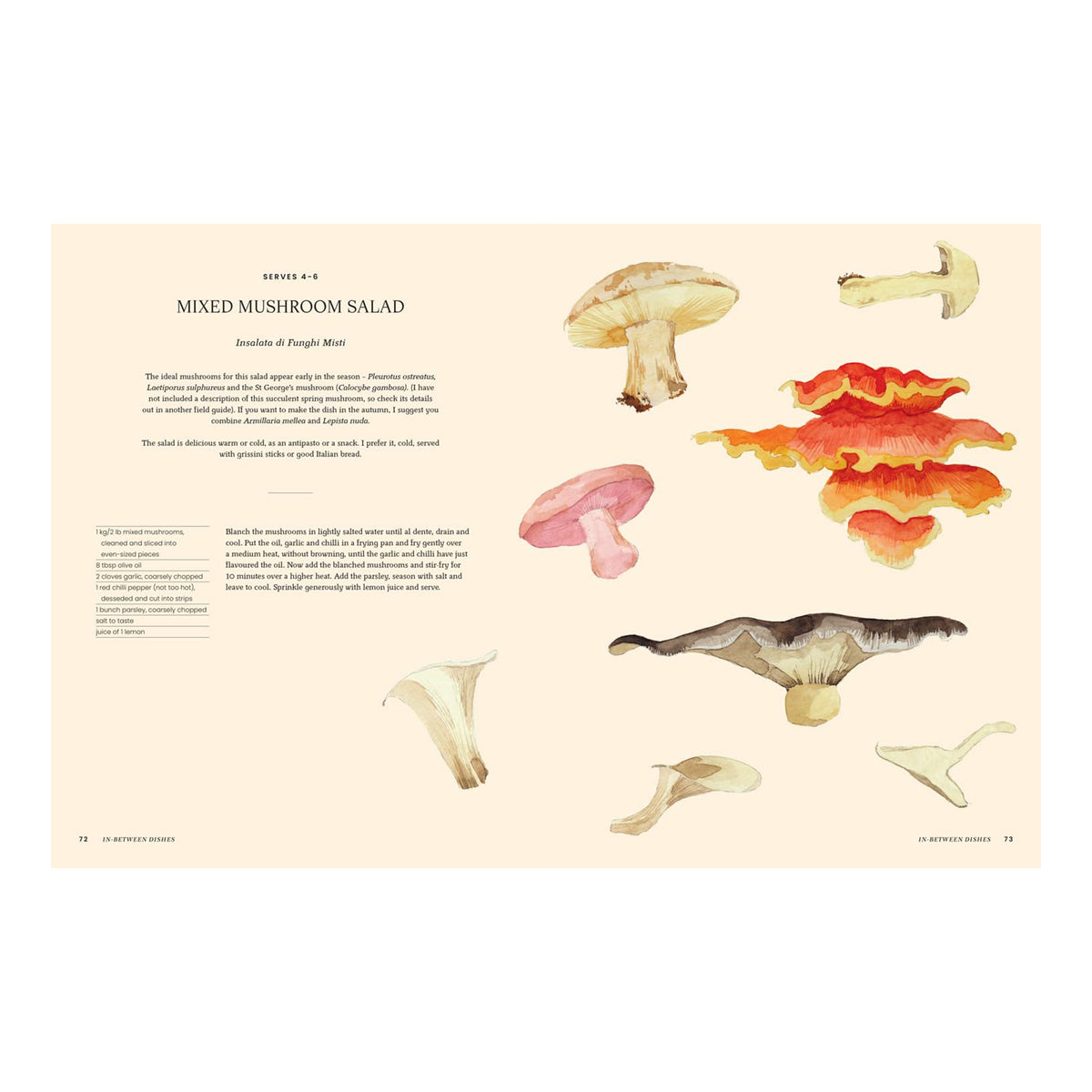 A PASSION FOR MUSHROOMS