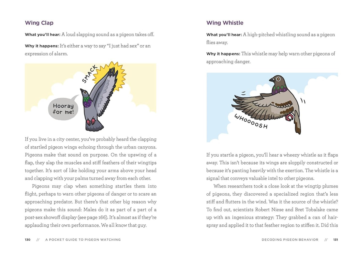 A POCKET GUIDE TO PIGEON WATCHING