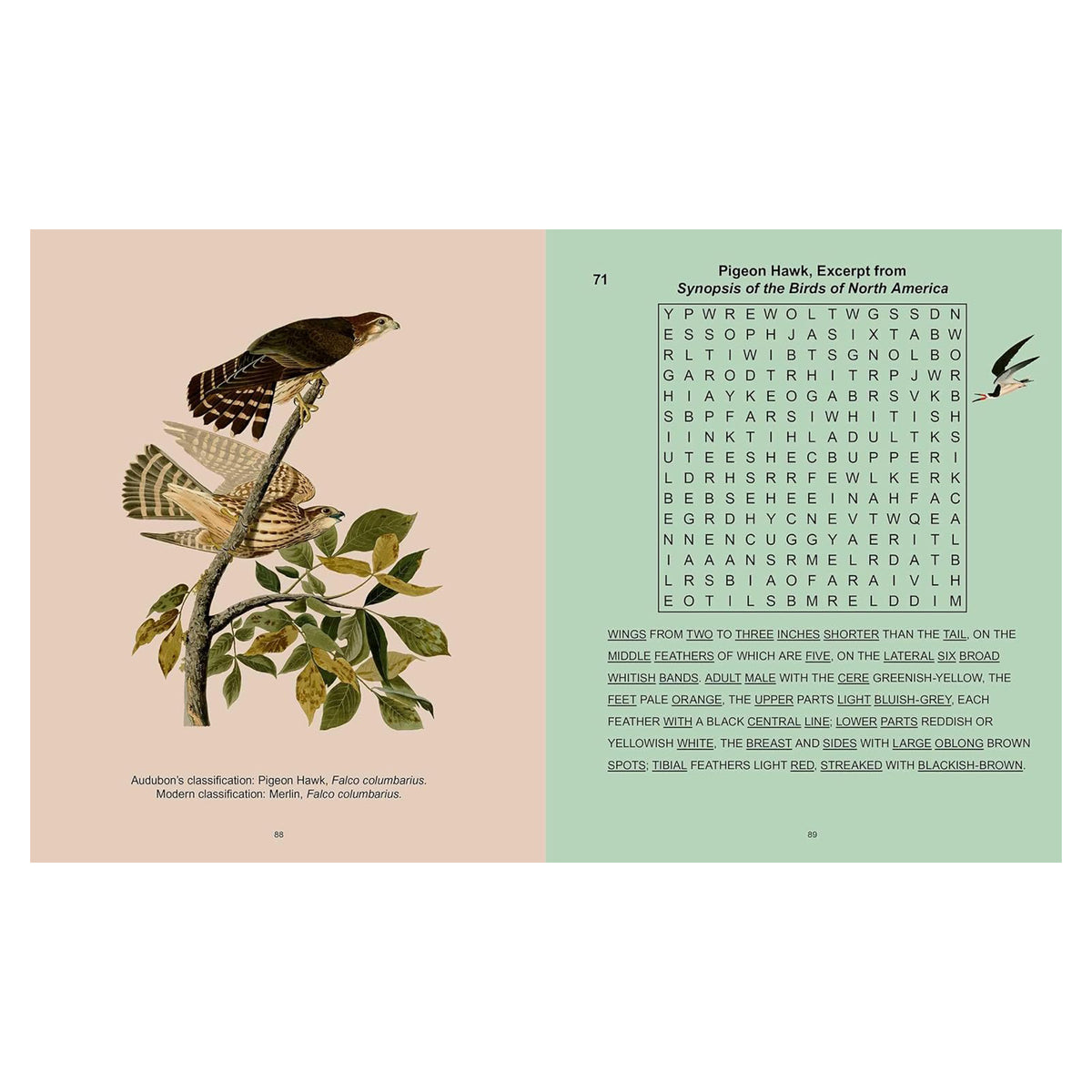 AUDUBON'S BIRDS WORDSEARCH