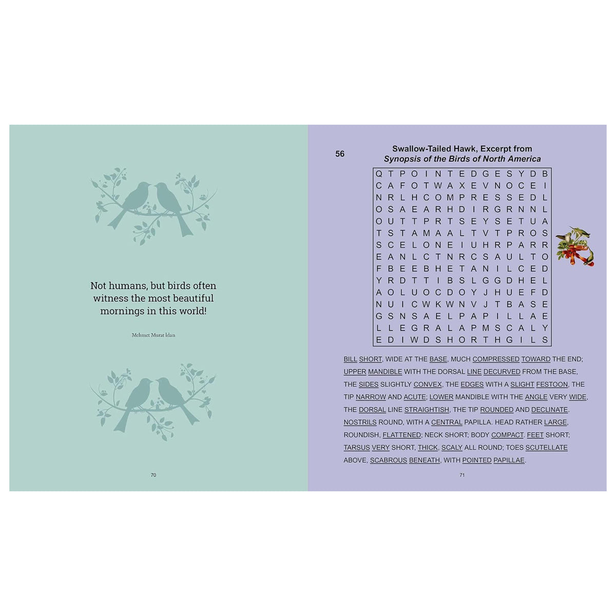 AUDUBON'S BIRDS WORDSEARCH