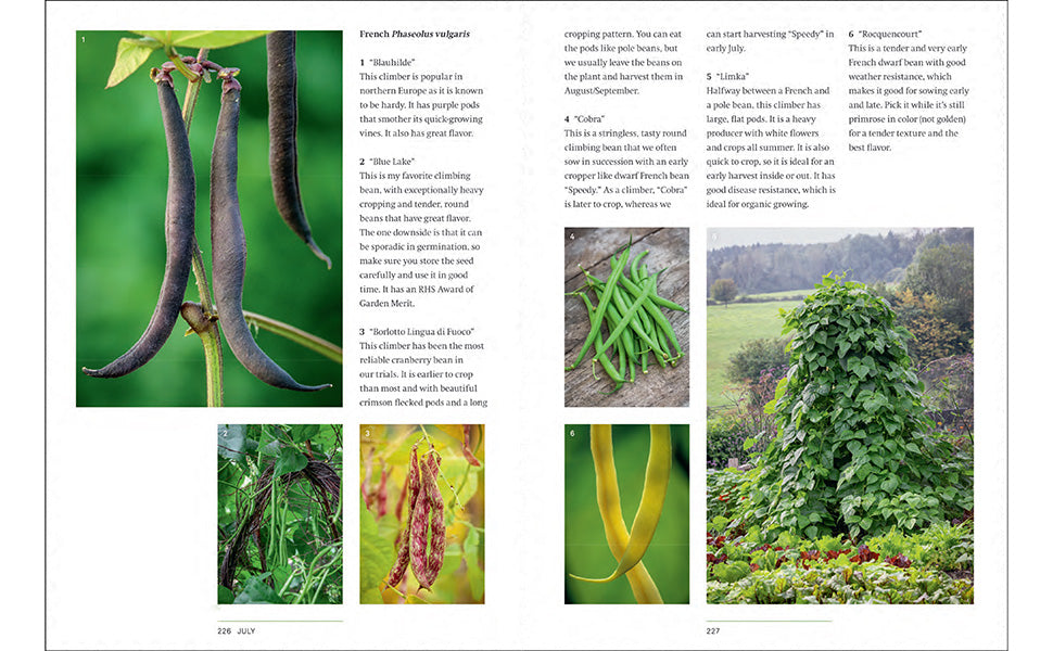 A YEAR IN THE EDIBLE GARDEN