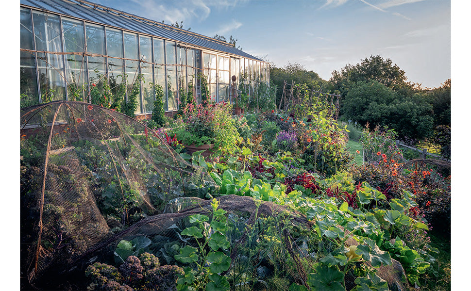 A YEAR IN THE EDIBLE GARDEN