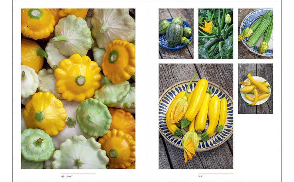 A YEAR IN THE EDIBLE GARDEN