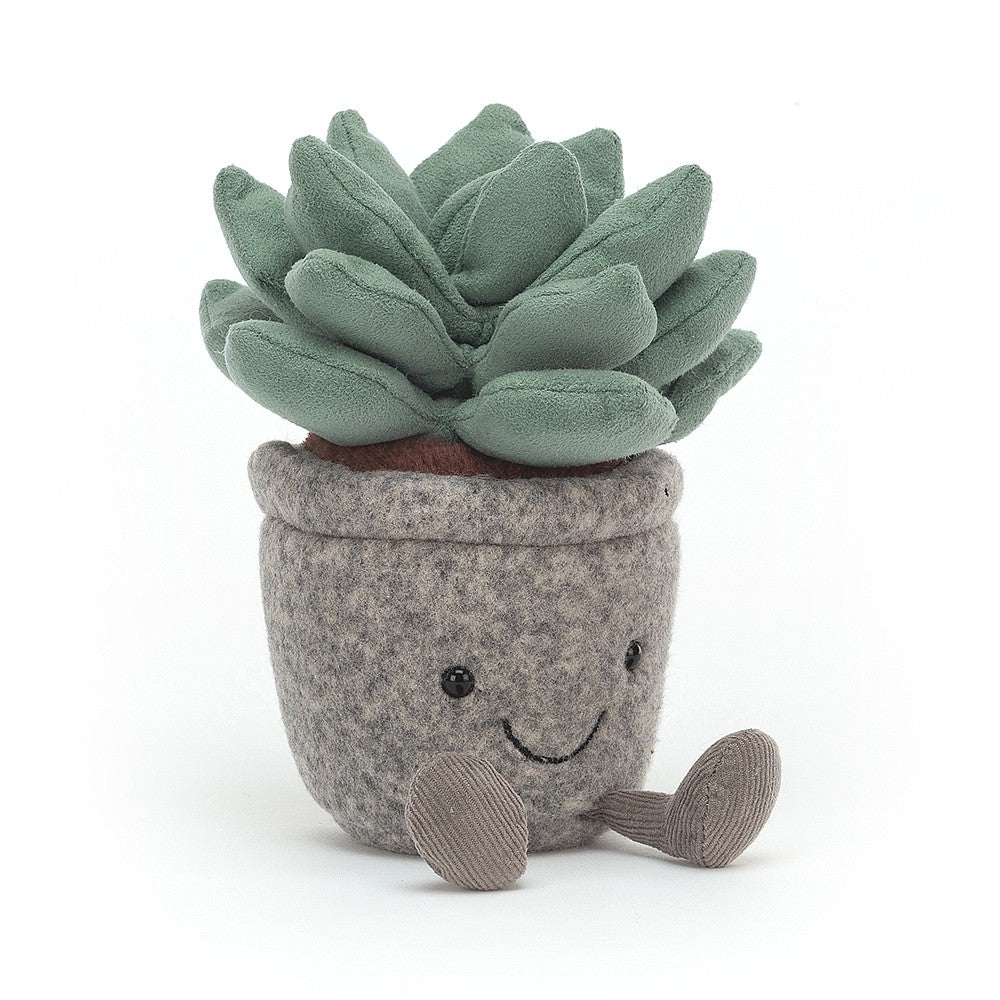 Silly Succulent can go for a very long time without a drink! Water is stored in that big crown of squishy, suedey leaves, so this delightful desk mate always has a backup supply. A chic and merry mascot in a mottled felt pot, with splendid needlecord booties. Hand wash only. Size: H6" X W3". Suitable from birth.