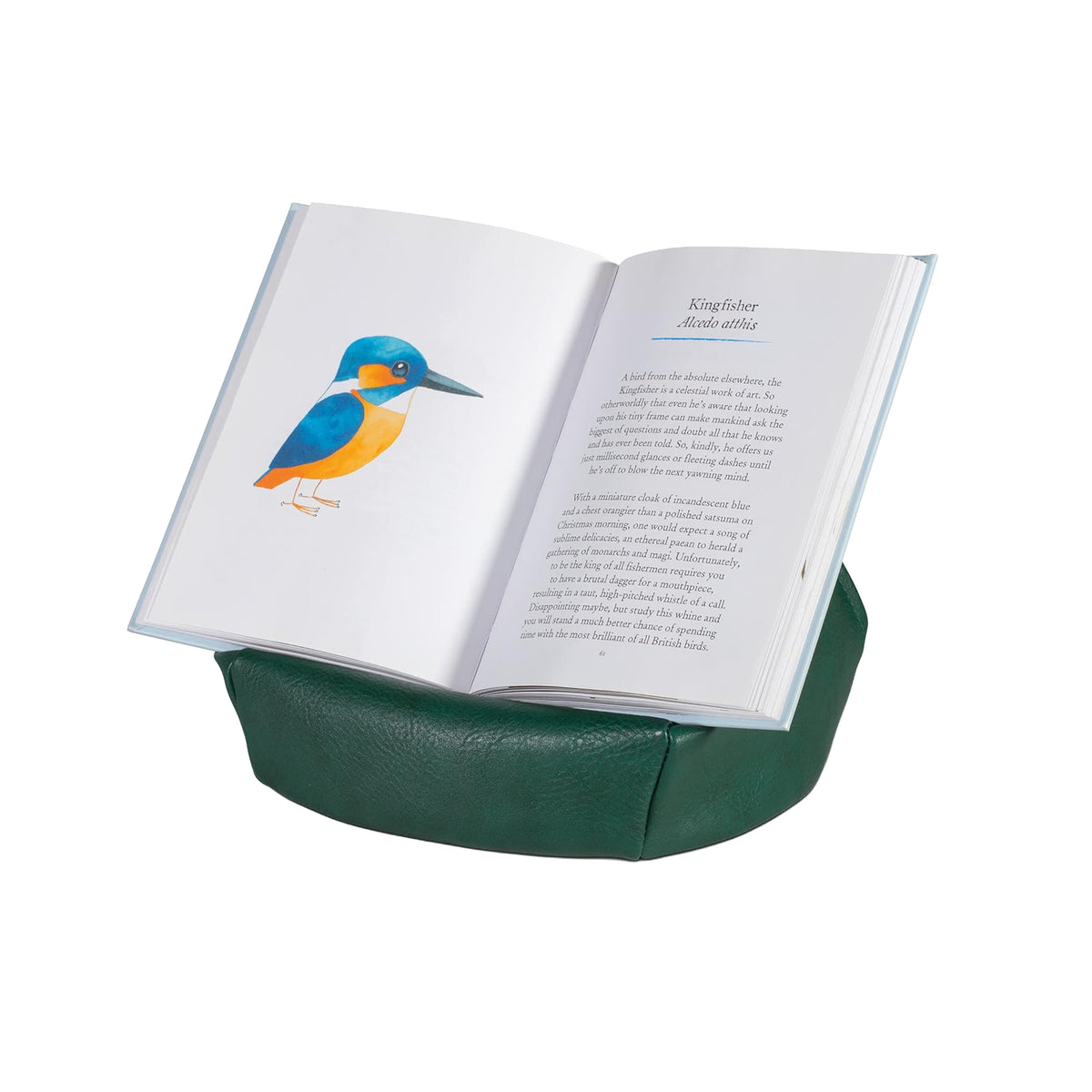 BEAN BAG READING REST