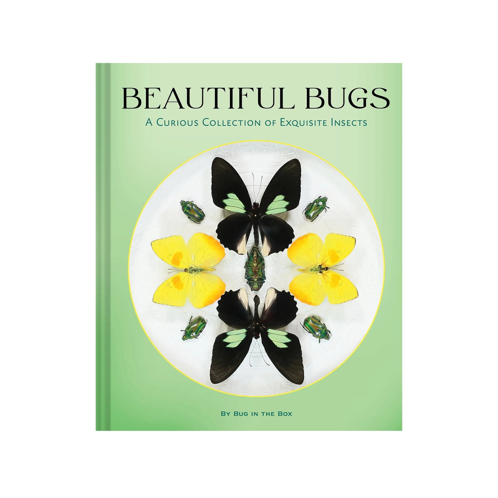 Book cover of 'Beautiful Bugs' with a mint green cover and a photo of entomology butterflies.
