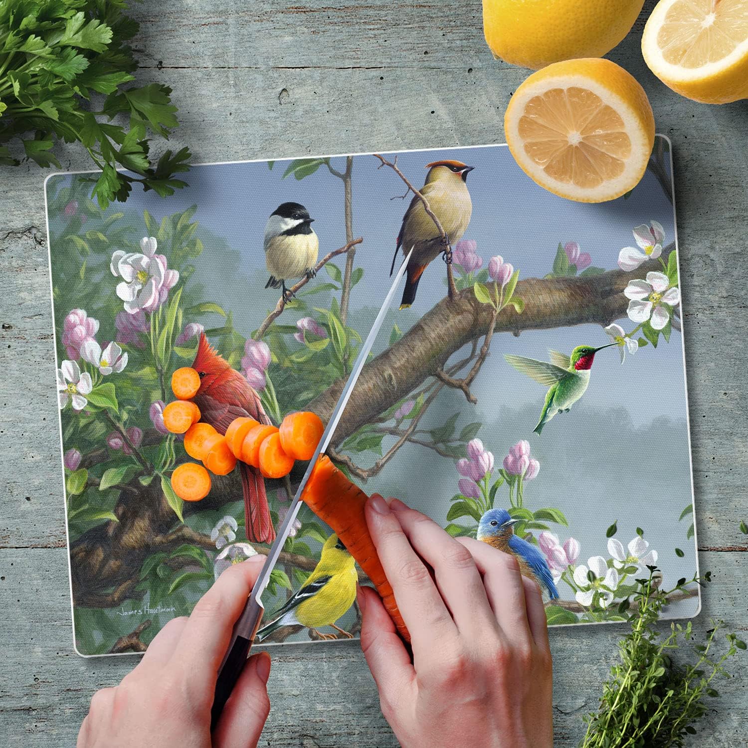 Glass cutting board with a colorful birds print on a branch with flowers in the background