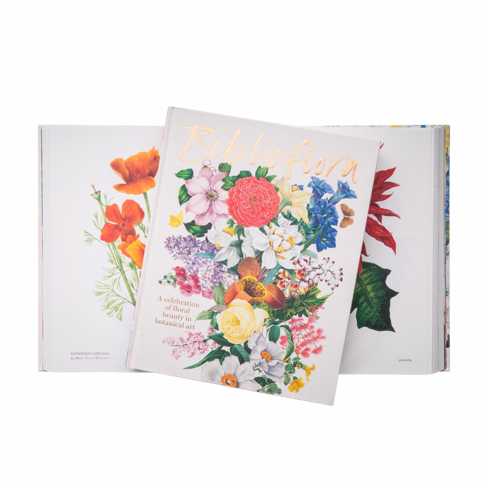 Floral themed coffee table book with colorful illustrations on a white background