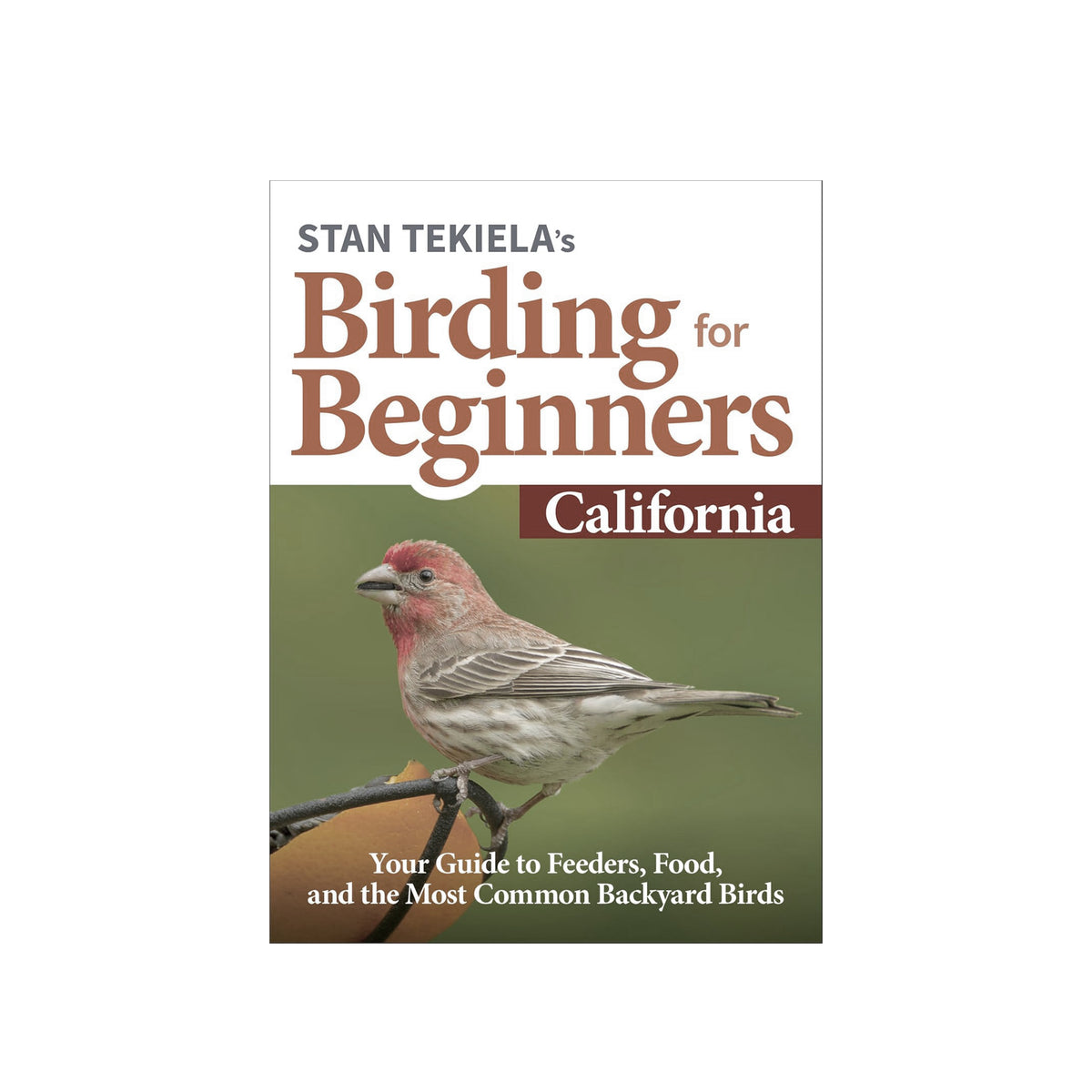 Front cover of the book 'Stan Tekiela's Birding for Beginners California' featuring a red-breasted bird perched on a branch against an olive-green background.