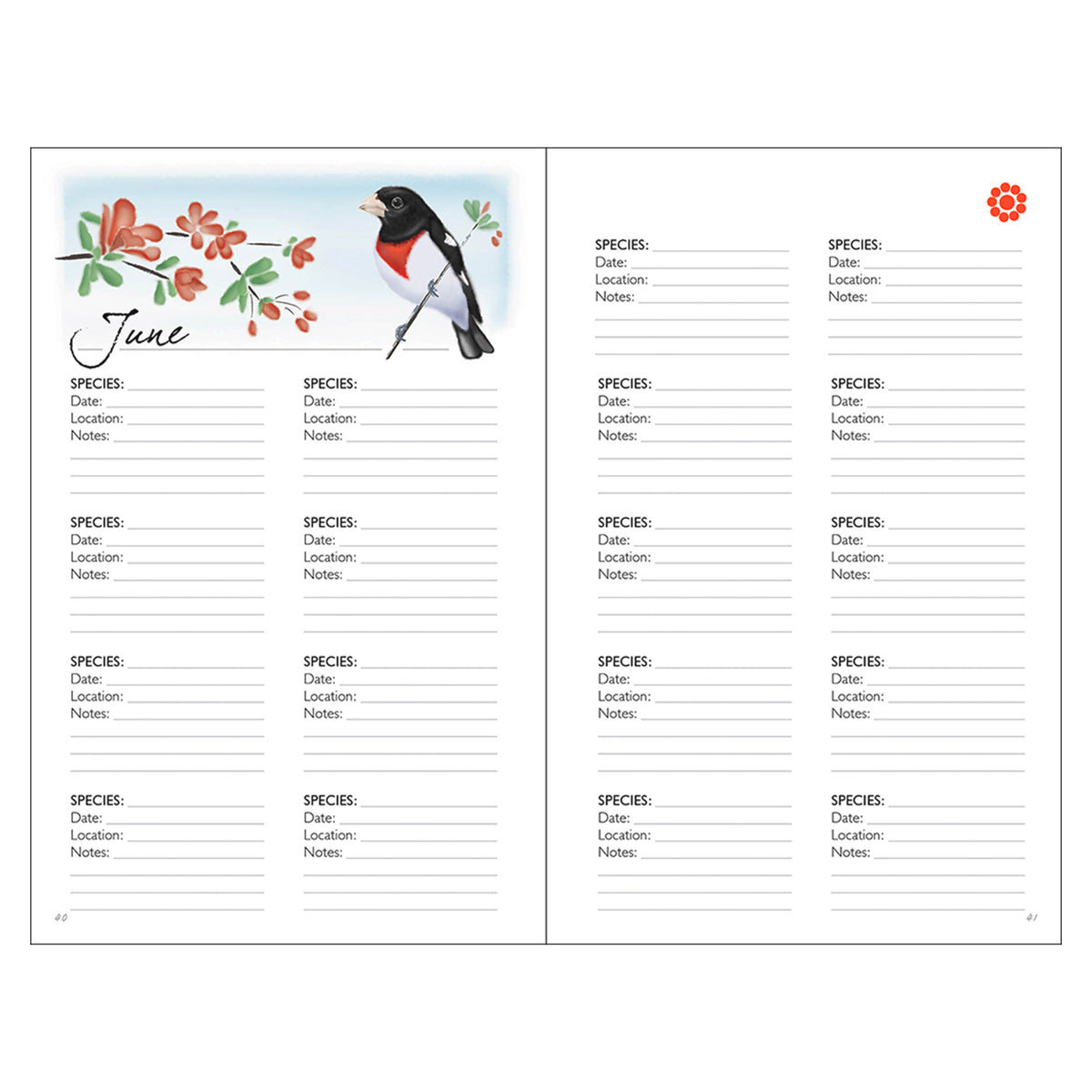 BIRDING JOURNAL