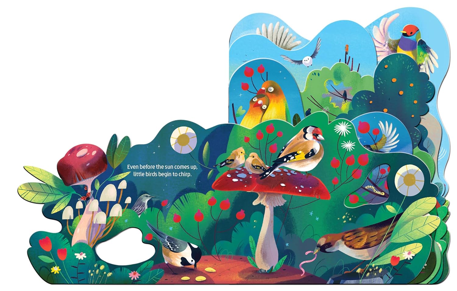 A sweet life lesson for toddlers and adults: Each bird has its own song, but when they all sing together, they make a beautiful chorus. Every page turn of this chunky board book reveals a new layer of Margarida Esteves’s bright, graphic depictions of various bird species, adding their cheerful sounds to start the day.