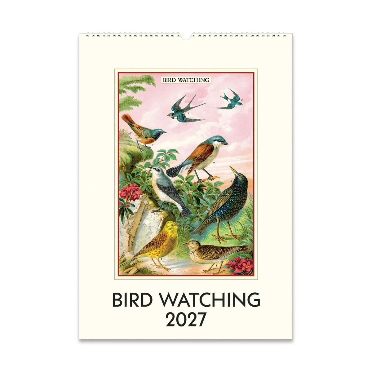 2027 wall calendar called 'Birdwatching' of Flowers', featuring vintage bird-themed artwork. 