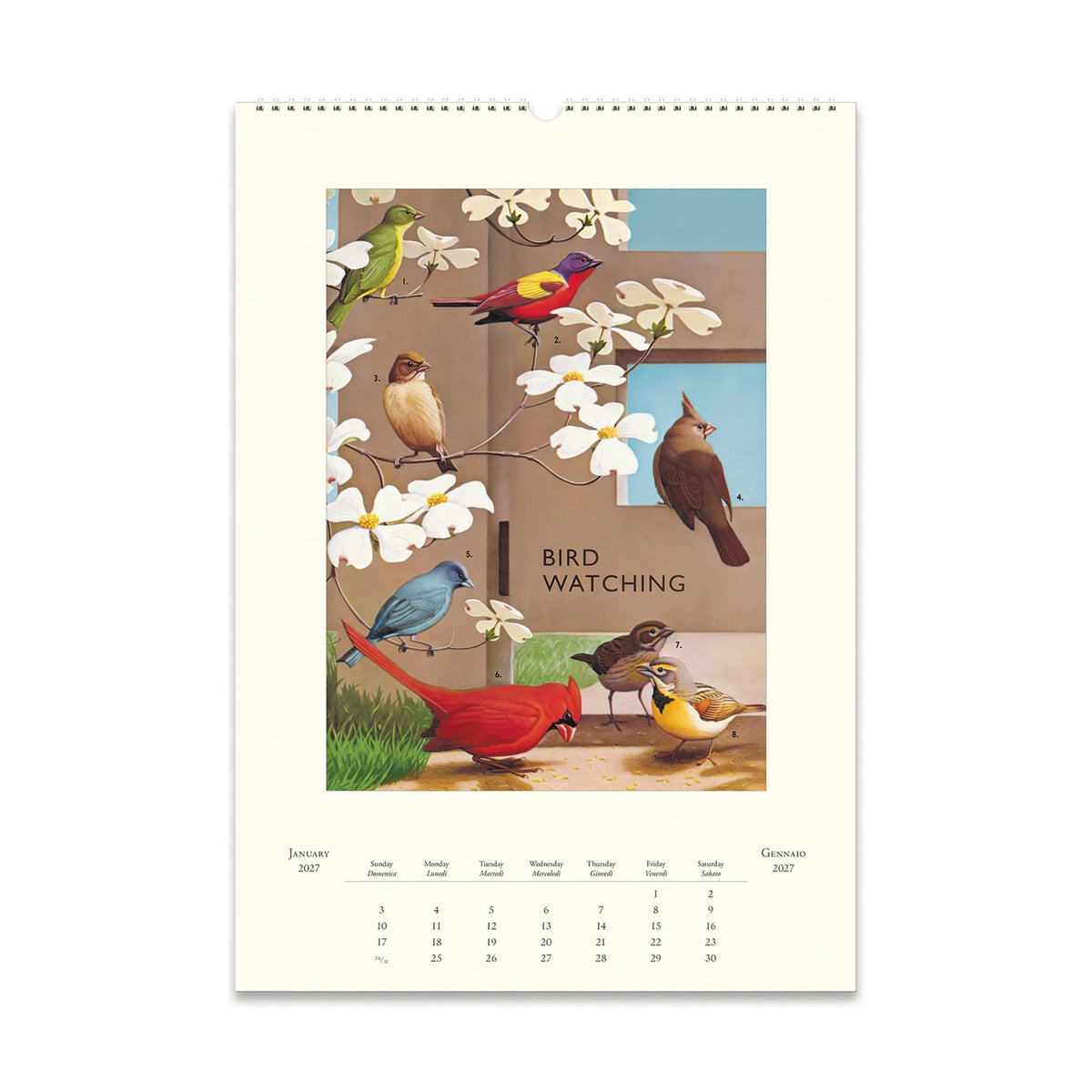 BIRDWATCHING 2027 WALL CALENDAR
