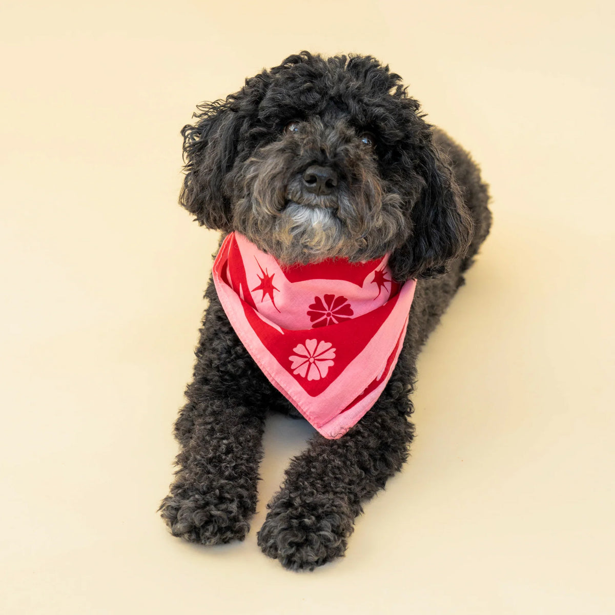 HAPPINESS BANDANA