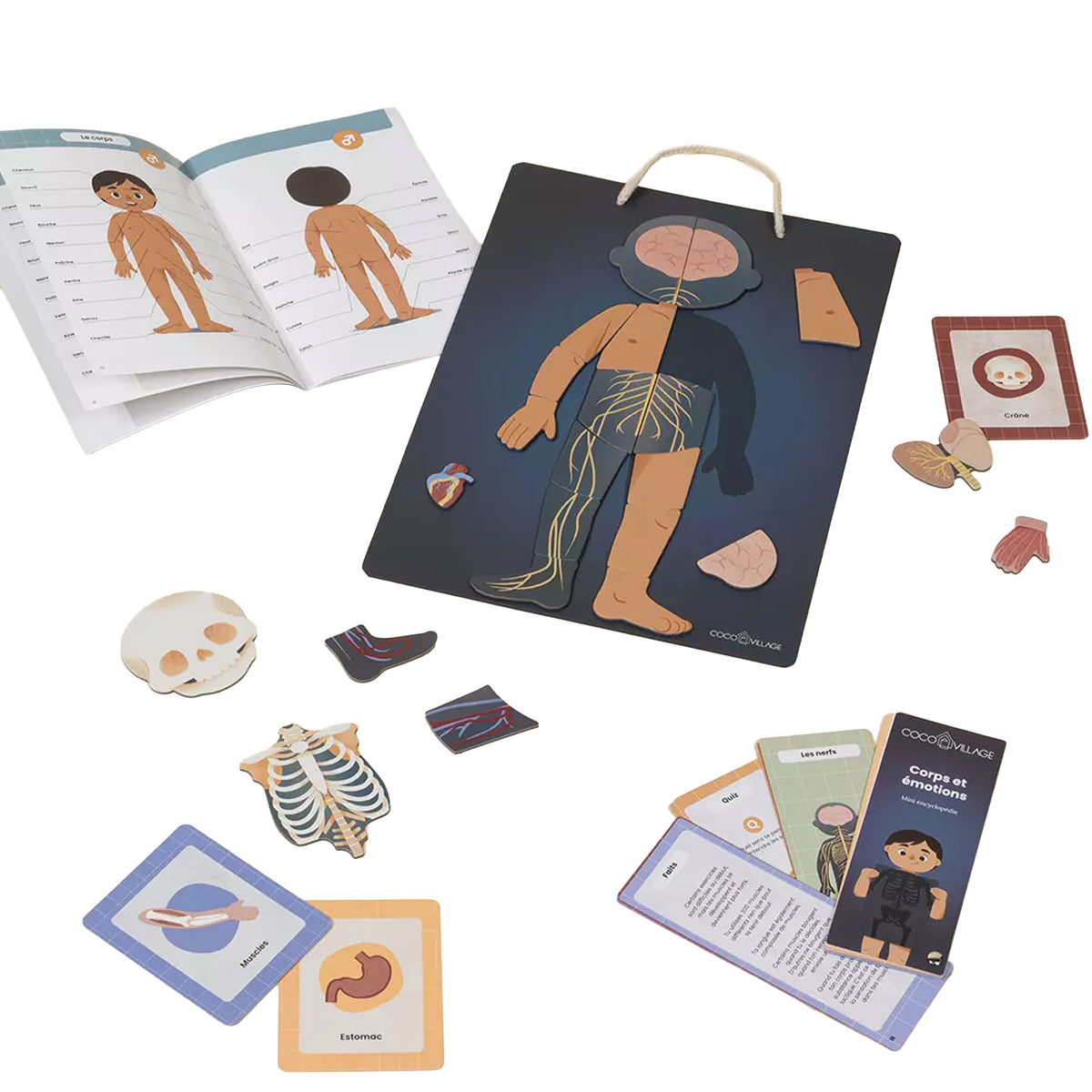 BODY & EMOTIONS ENCYCLOPEDIA