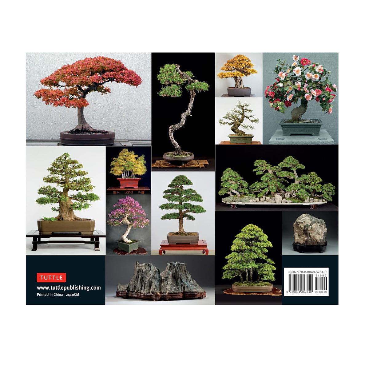 BONSAI AND PENJING: AMBASSADORS OF PEACE & BEAUTY