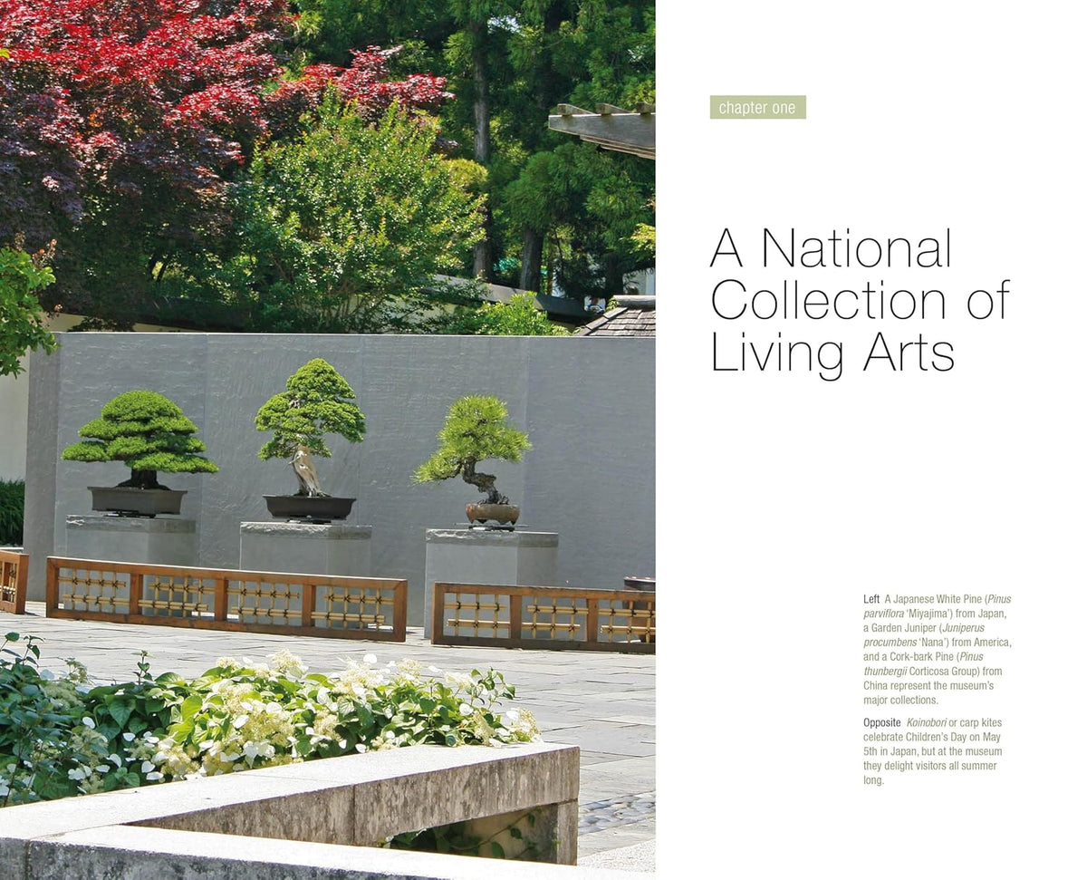 BONSAI AND PENJING: AMBASSADORS OF PEACE & BEAUTY