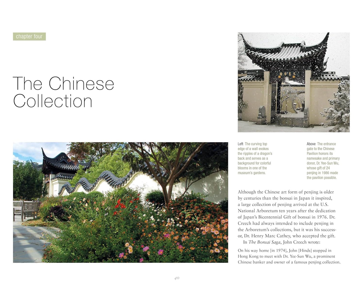 BONSAI AND PENJING: AMBASSADORS OF PEACE & BEAUTY