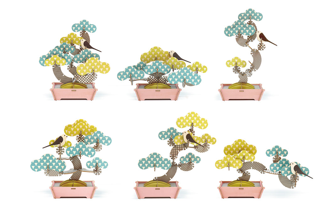 This unique wooden puzzle allows you to create and customize a beautiful Bonsai sculpture. Piece together the laser-cut pieces to create your Bonsai base, then have fun shaping and sculpting your ideal tree - there are literally hundreds of ways to assemble! Wooden puzzle kit Recommended age: 8+