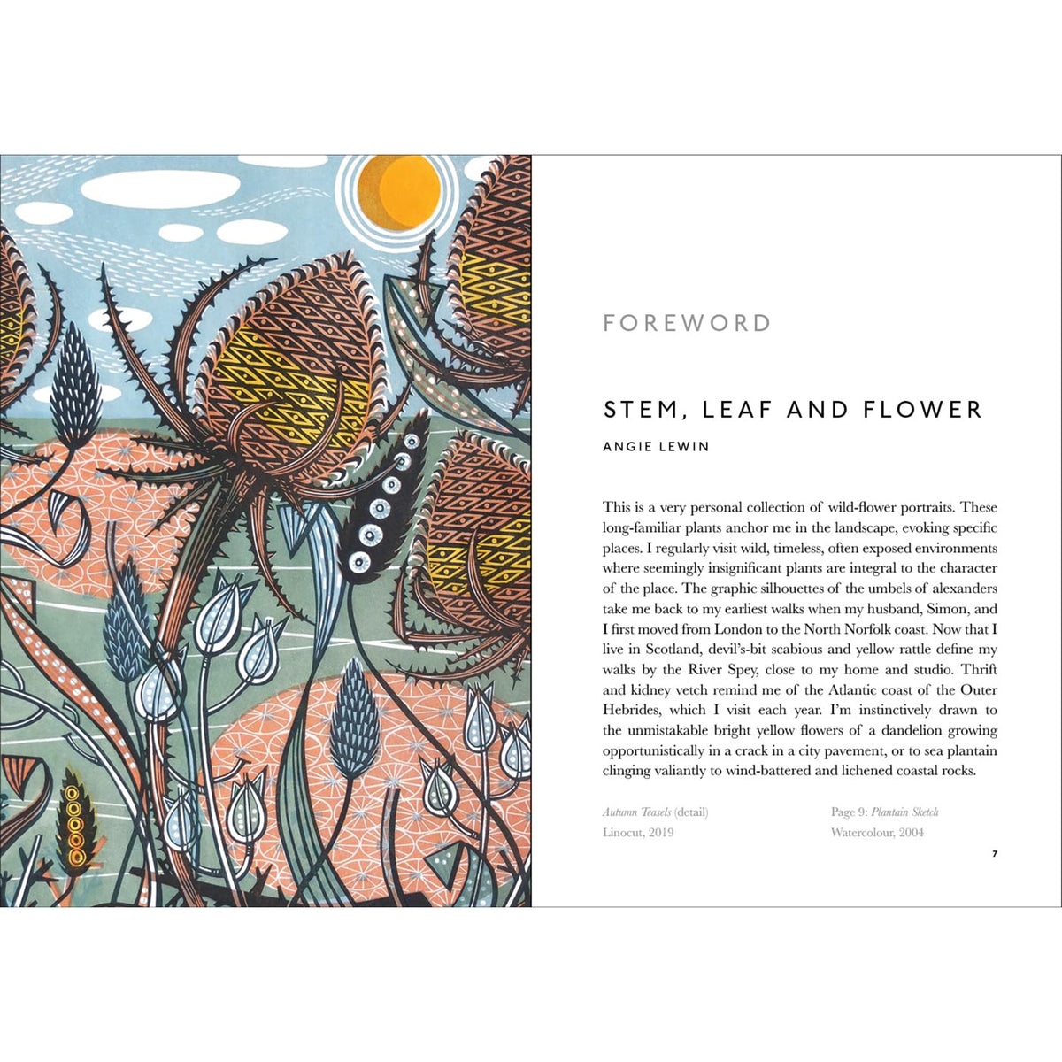 THE BOOK OF WILD FLOWERS