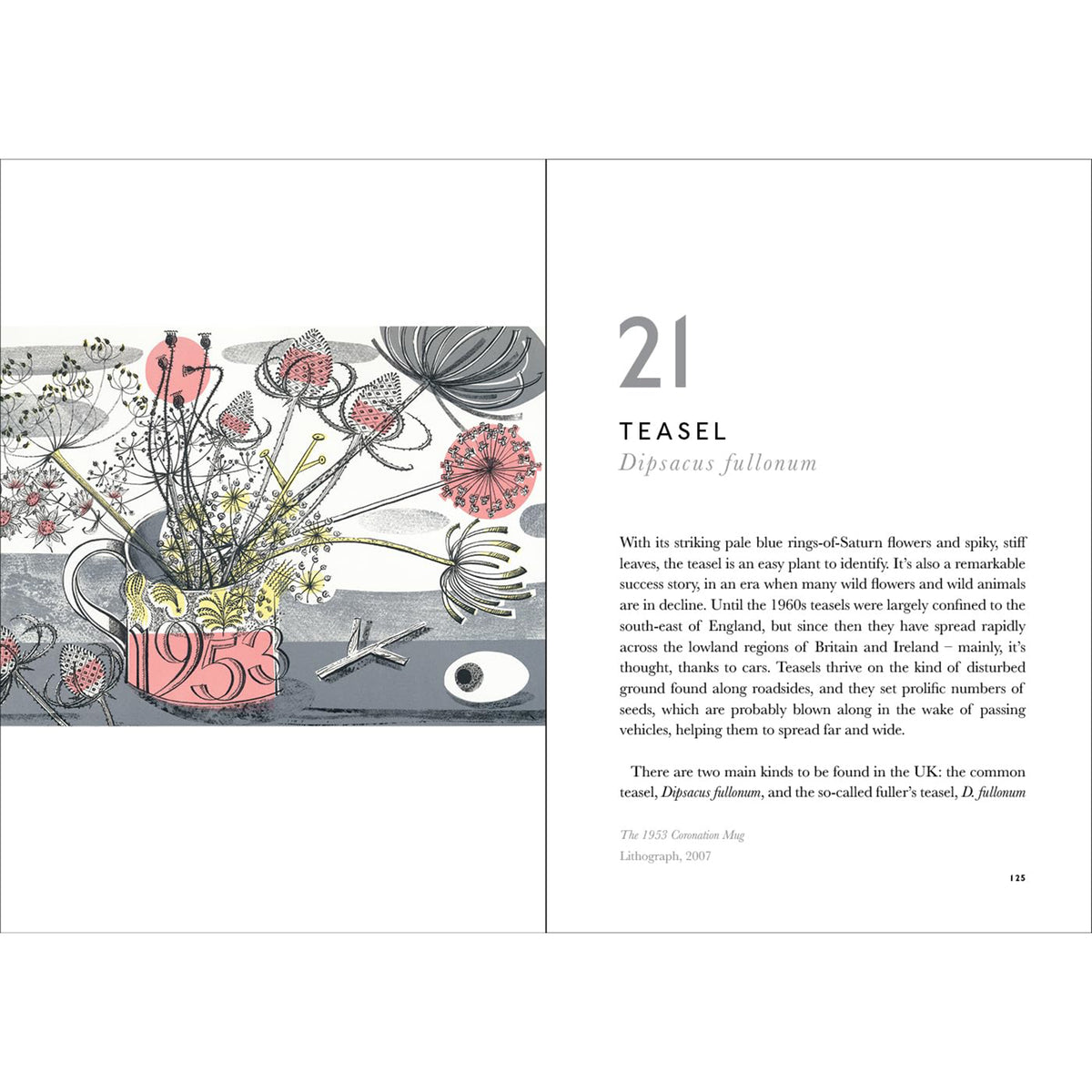 THE BOOK OF WILD FLOWERS