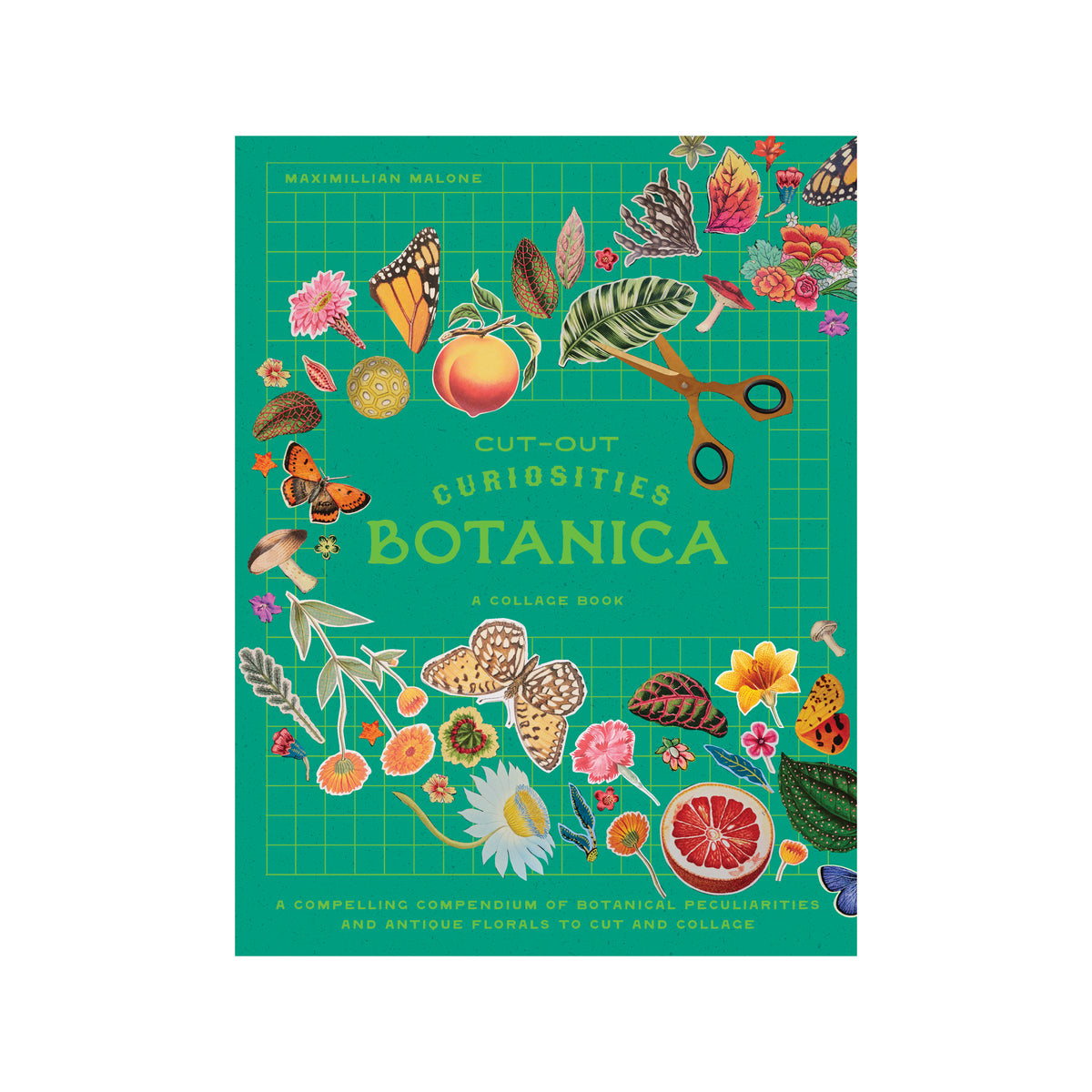 Book cover of 'Botanica' with colorful illustrations on a green background