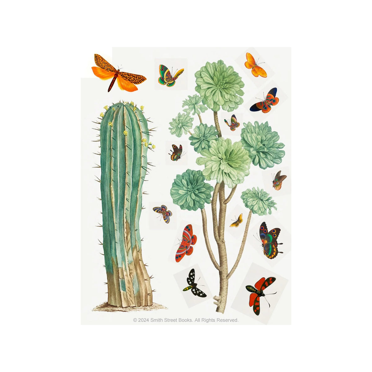 CUT-OUT CURIOSITIES: BOTANICA: A COLLAGE BOOK