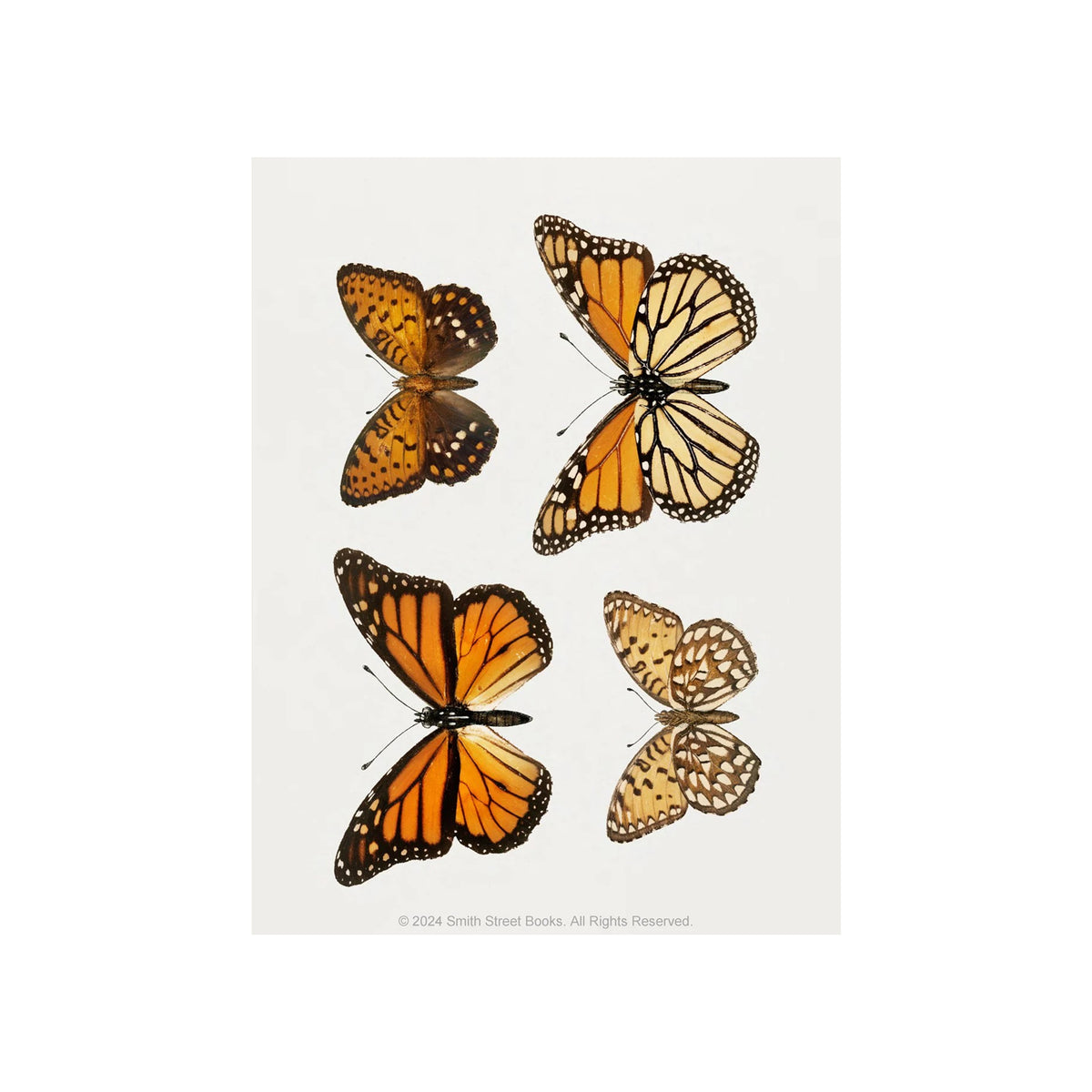 CUT-OUT CURIOSITIES: BOTANICA: A COLLAGE BOOK