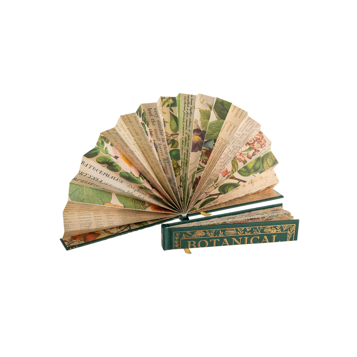 Hand fan with a book theme and botanical illustrations on a white background