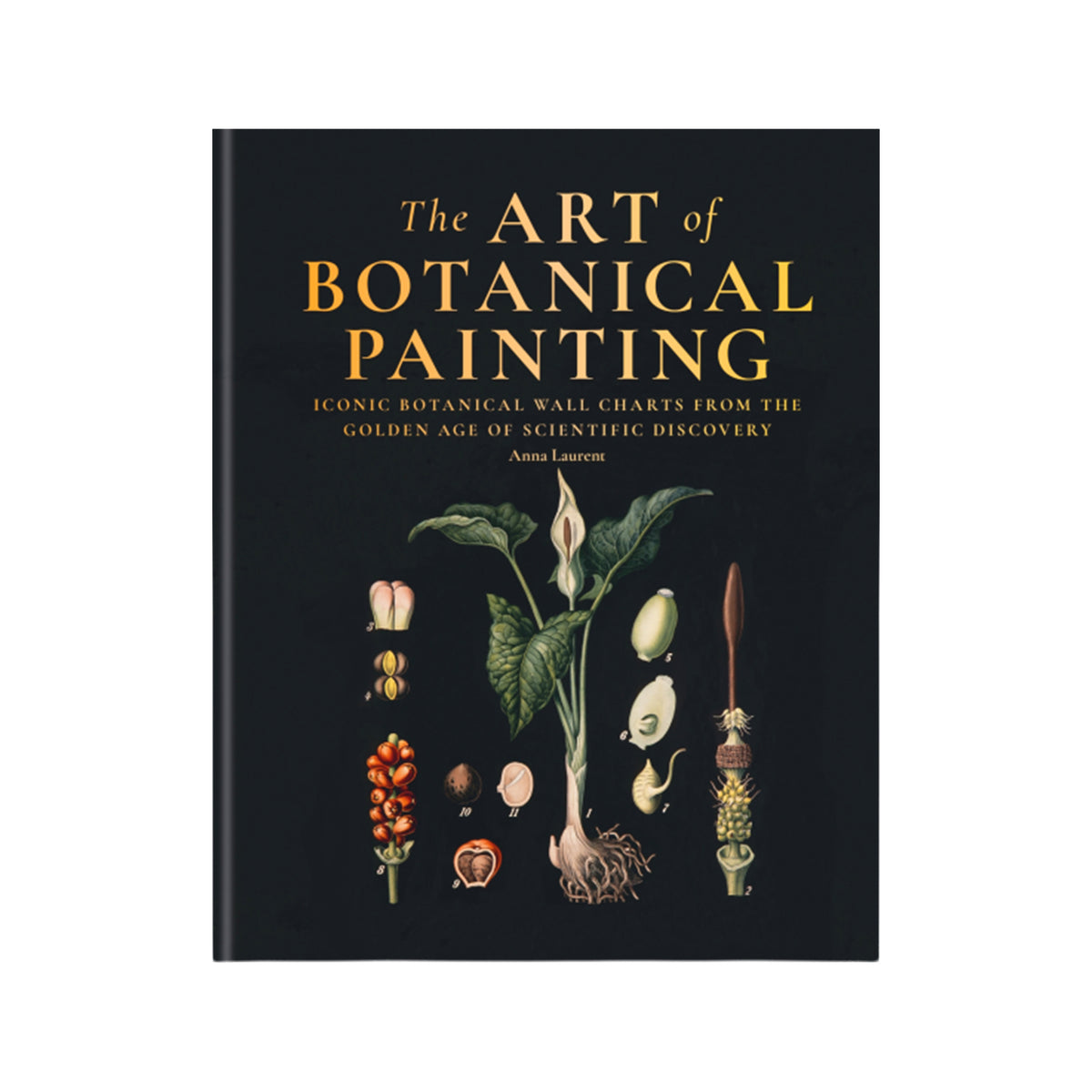 Cover of The Art of Botanical Painting' with an illustration of plants on a black cover, on a white background.