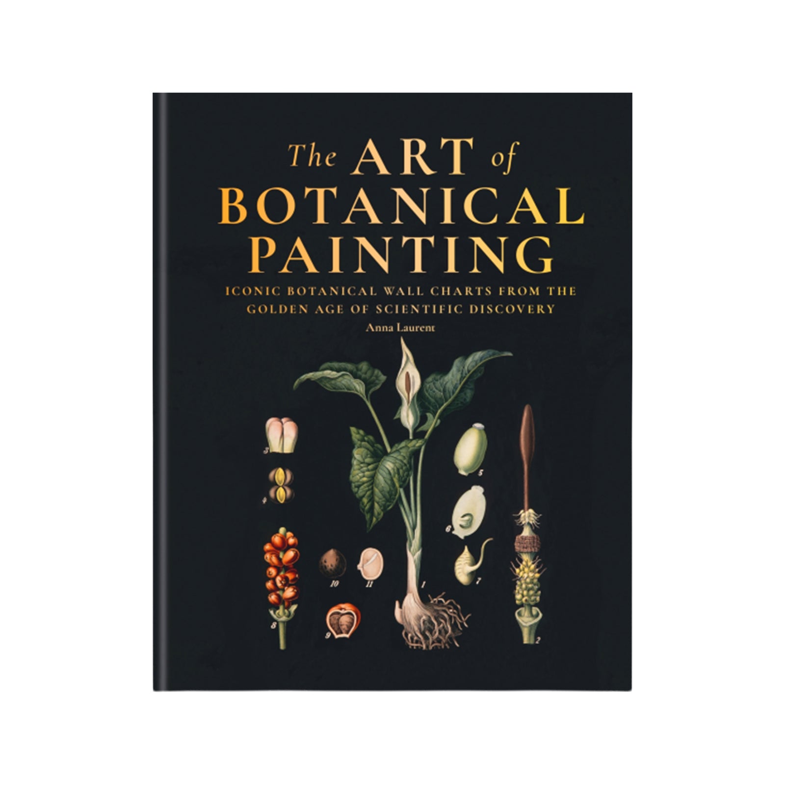 Cover of The Art of Botanical Painting' with an illustration of plants on a black cover, on a white background.