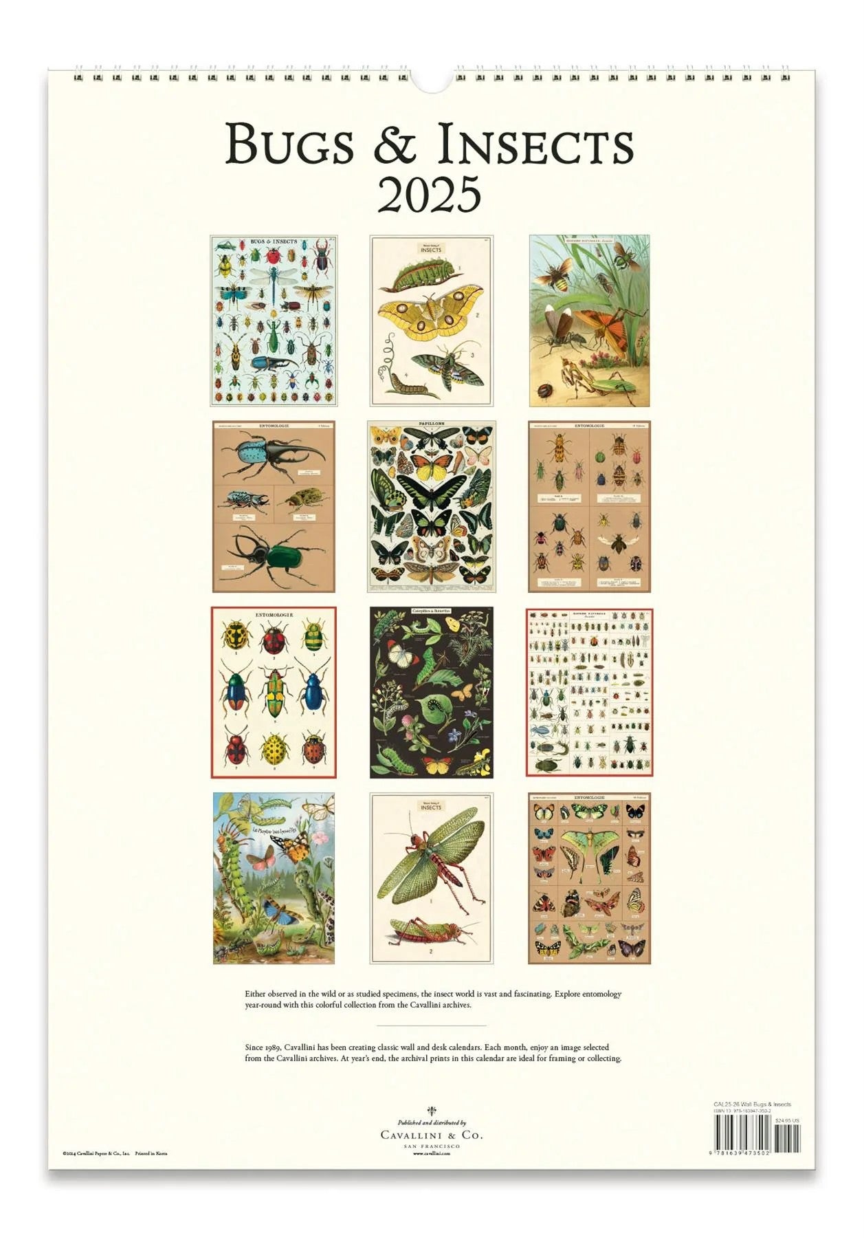 Insects Calendar 2025