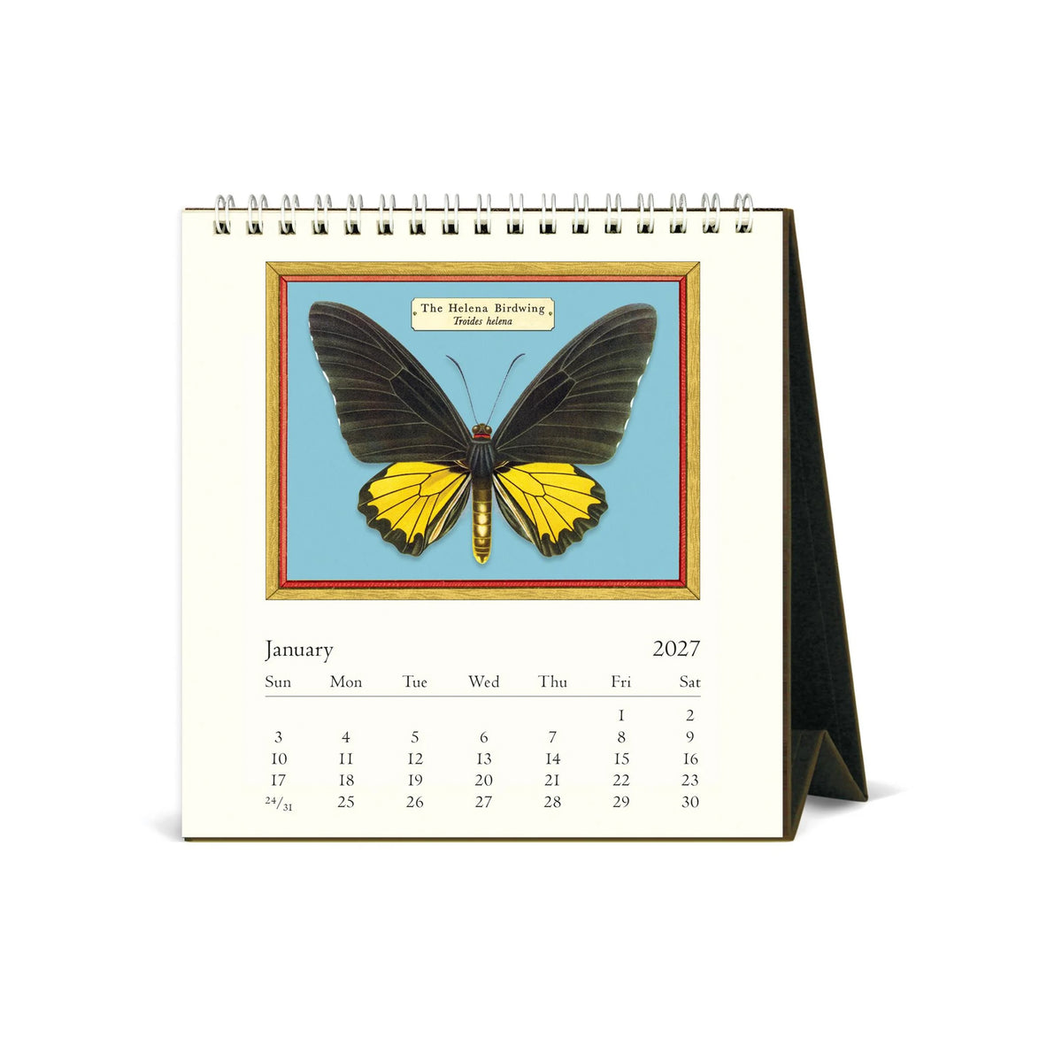 BUTTERFLIES 2027 DESK CALENDAR