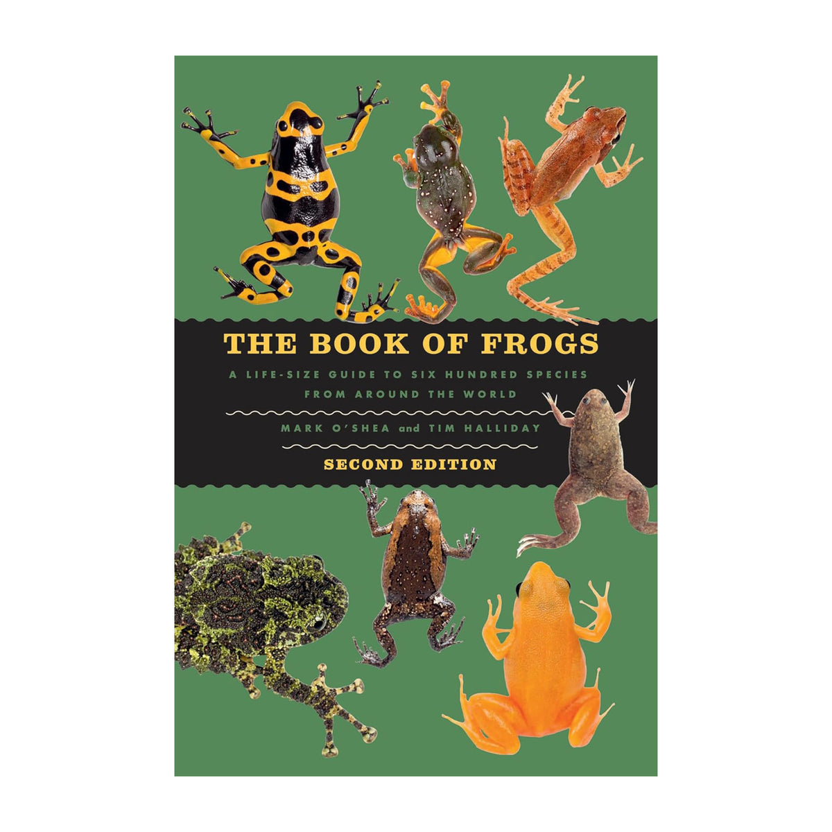 Book cover of 'The Book of Frogs' with illustrations of various frogs on a green background