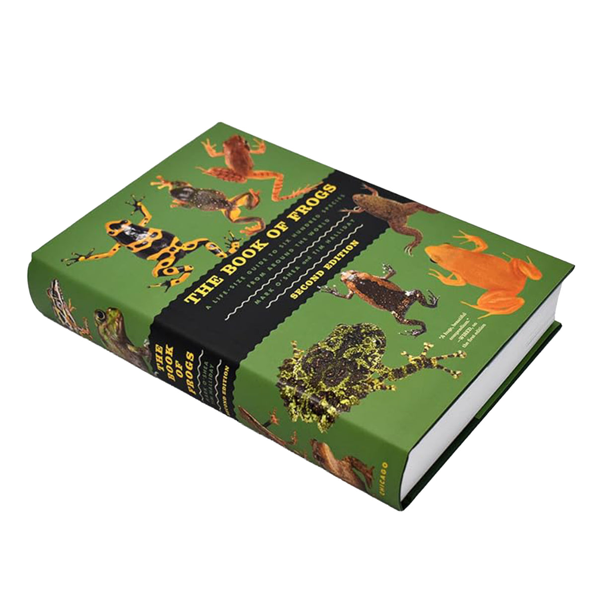 Book titled 'The Book of Frogs' with illustrations on a green background